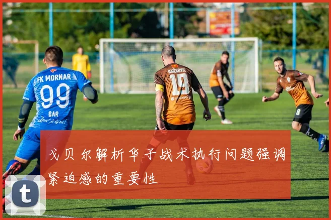 戈贝尔解析华子战术执行问题强调紧迫感的重要性