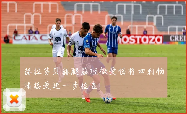 赫拉芬贝赫腿筋轻微受伤将回利物浦接受进一步检查