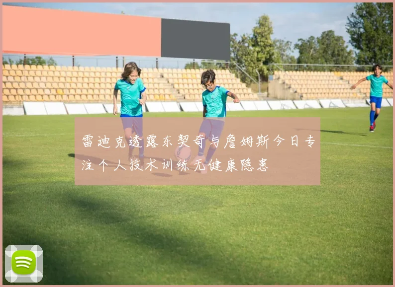 雷迪克透露东契奇与詹姆斯今日专注个人技术训练无健康隐患